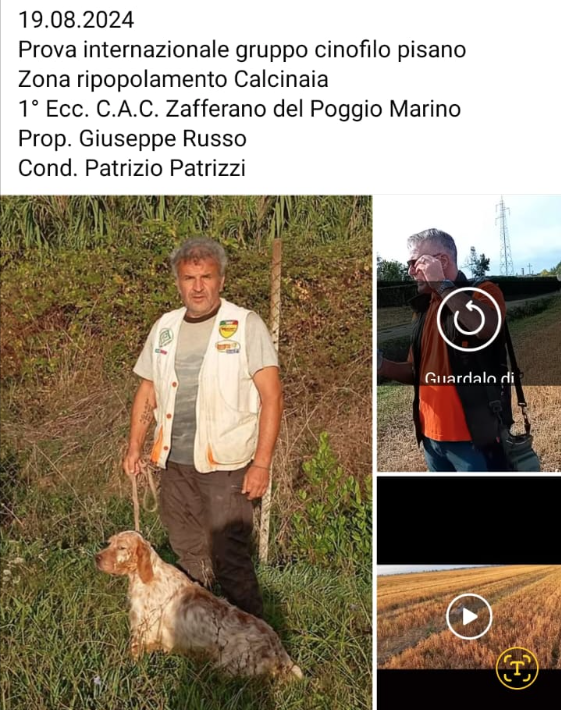 Schermata 2025 04 28 alle 10.33.44