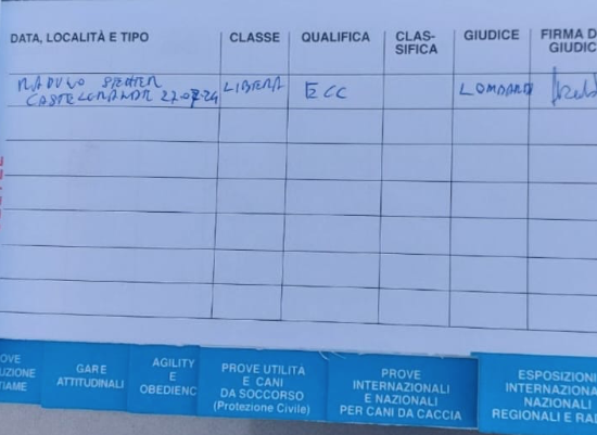 Schermata 2025 04 29 alle 11.23.42