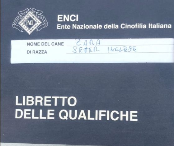 Schermata 2025 04 29 alle 11.23.48