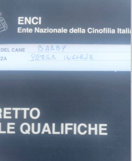 Schermata 2025 04 29 alle 11.28.13