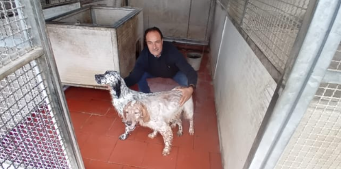 Schermata 2025 04 29 alle 11.40.51