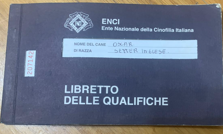 Schermata 2025 05 02 alle 11.45.26
