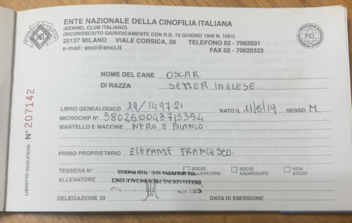 Schermata 2025 05 02 alle 11.45.33