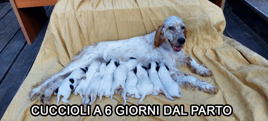 Schermata 2025 07 23 alle 10.45.58