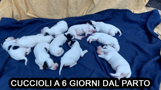 Schermata 2025 07 23 alle 10.48.00