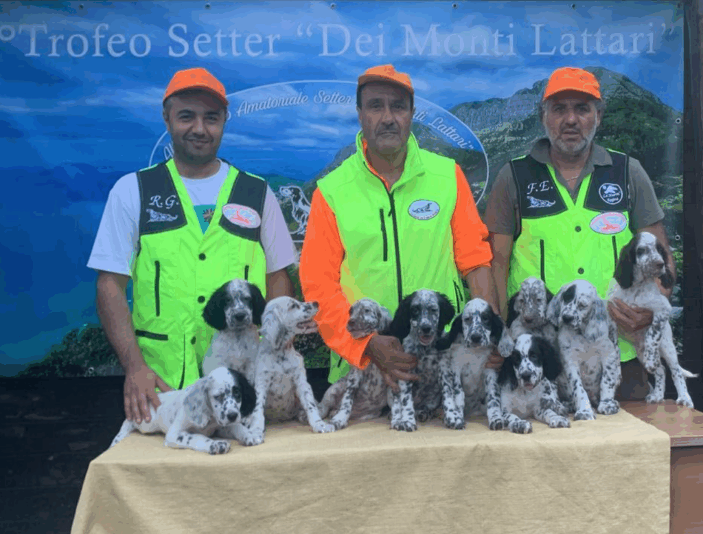 Schermata 2025 09 19 alle 11.07.09