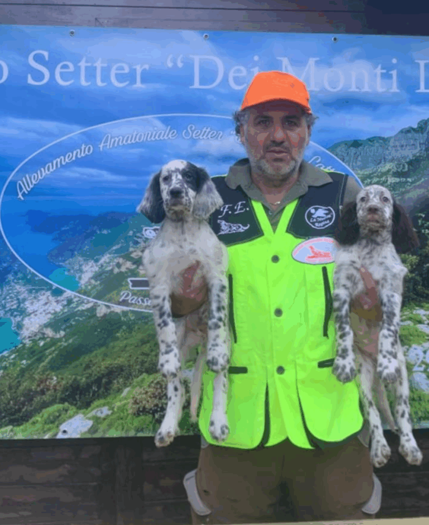 Schermata 2025 09 19 alle 11.08.28