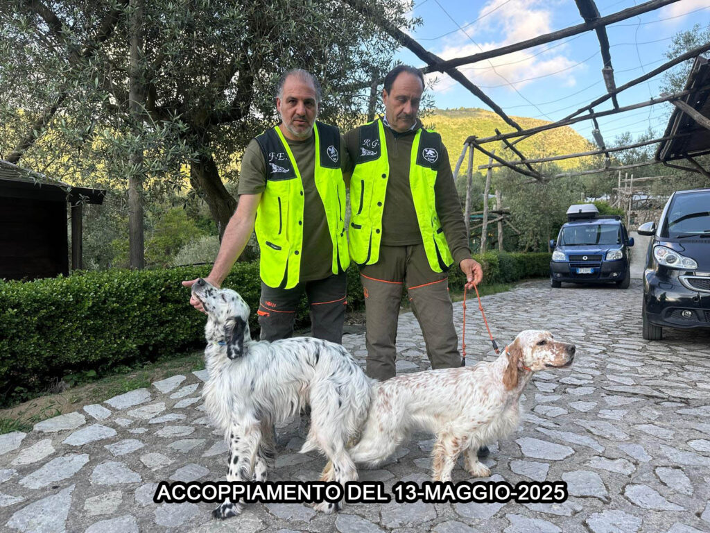 accoppiamento